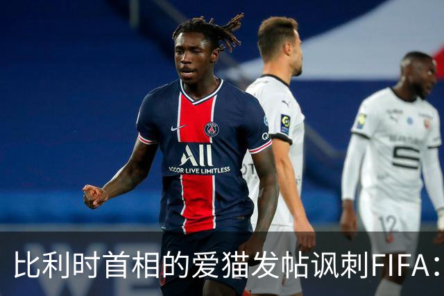 比利时首相的爱猫发帖讽刺FIFA：“红牌？”我照样继续踢！