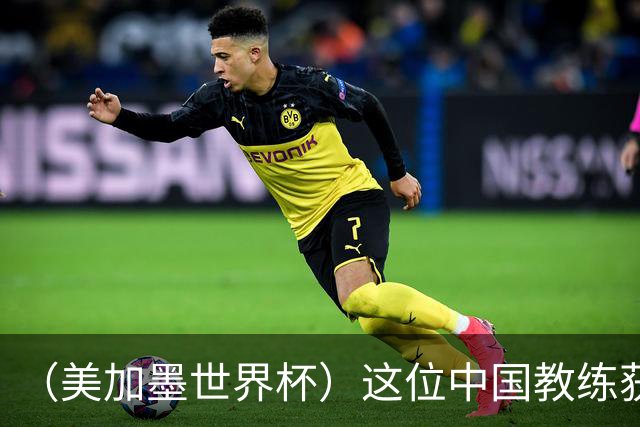 （美加墨世界杯）这位中国教练获得的勋章，与世界杯揭幕战球场同名